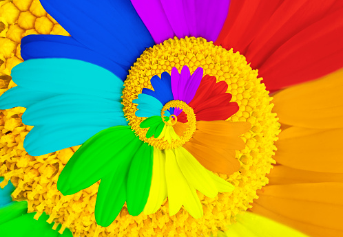 Rainbow colored daisy abstract infinite spiral background. Creative nature awakening concept.