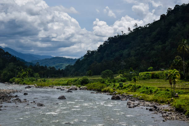istock mountain river stock photo 1412416646