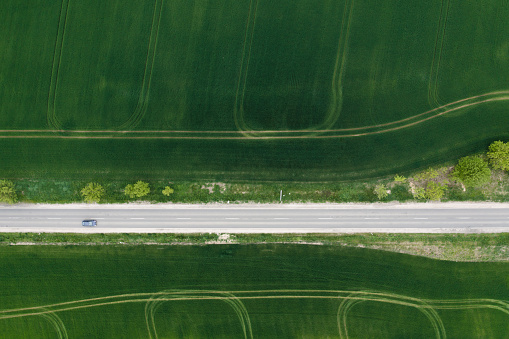 road, drone view, road, nature