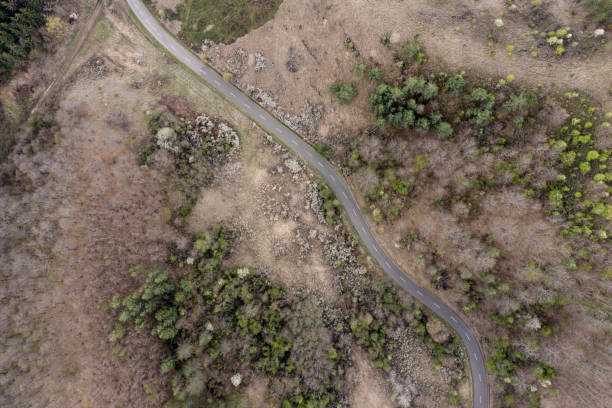 istock An Aerial Road Trip - forest with curved road 1412418631