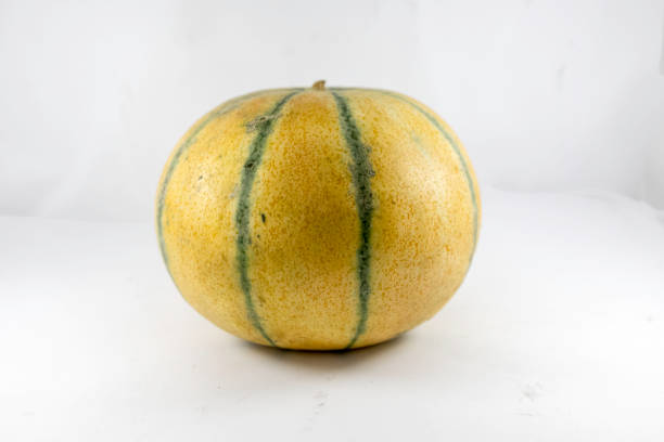 Vibrant yellow melons on a shelf. Image shot with Canon 5D Mark lv, 24-105mm f/4L IS USM lens.