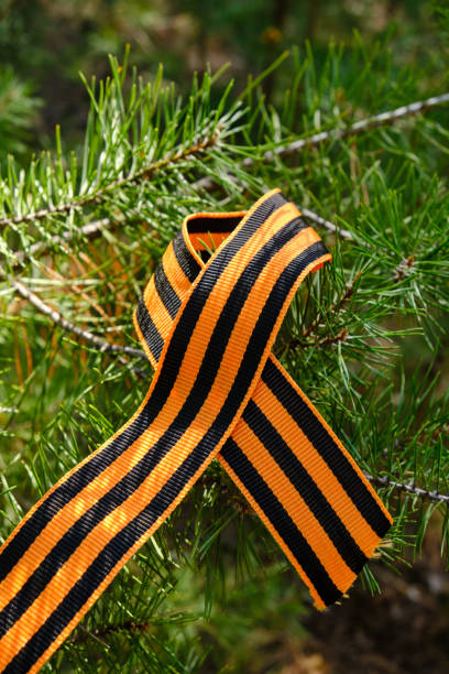 istock St. George ribbon hanging on green pine branch. 1412422834