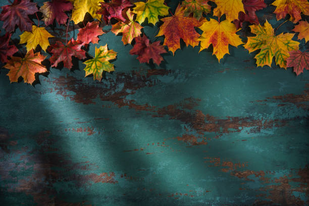 istock Autumn maple tree leaves arrangement leaving copy space on green background 1412424161