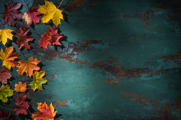 istock Autumn maple tree leaves arrangement leaving copy space on green background 1412424187