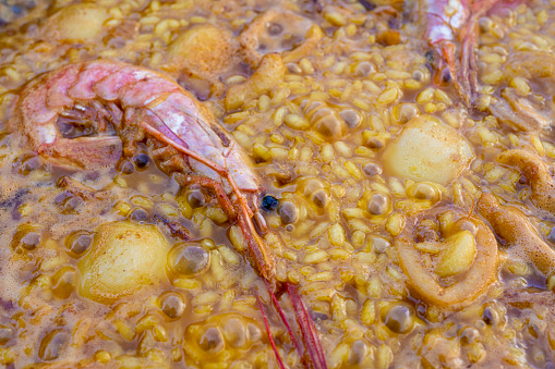 Seafood Paella recipe with rice, cuttlefish, shrimp and squid Spain recipe from Valencia. Image boiling rice before finishing