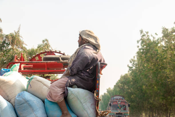 istock passenger is sitting on truck for transport 1412425160
