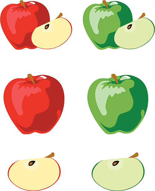 red & green Apples vector art illustration