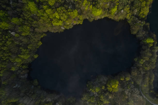 istock trees forming a hole with a little lake in denmark 1412425997