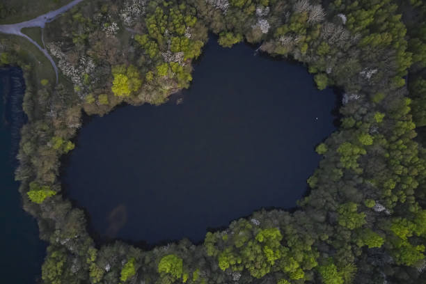 istock trees forming a hole with a lake 1412426177