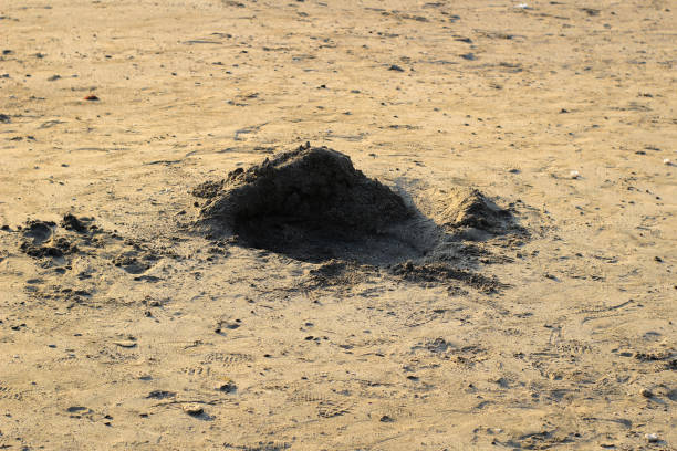 istock Little sandbar on the beach 1412428032