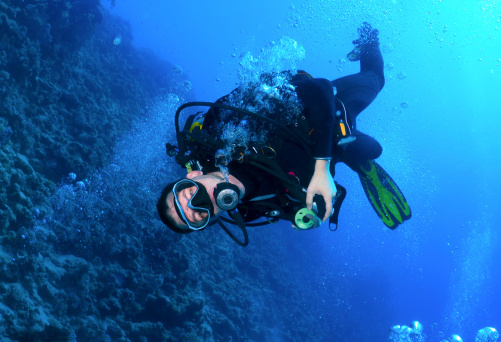 Diver in the background of the reef.