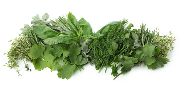 istock Fresh green herbs isolated on white background 1412430489