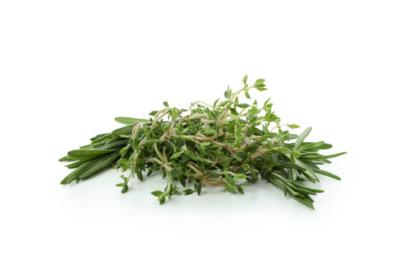istock Fresh green herbs isolated on white background 1412430497