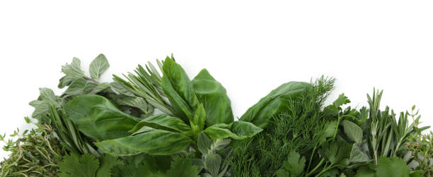 istock Fresh green herbs isolated on white background 1412430576