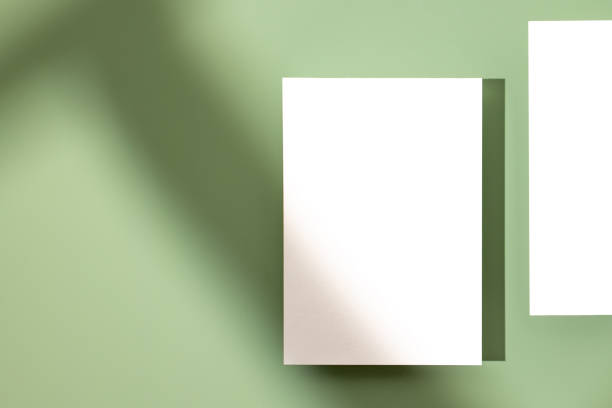 istock Template paper with shadow on pastel green background , great design for any purposes. Abstract background. Banner template. Advertising 1412433191