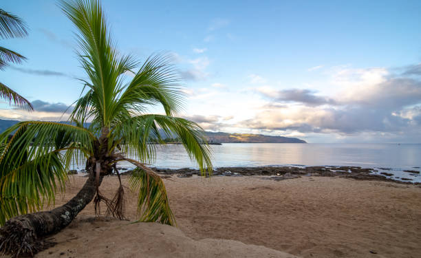 View of park and tropical beach in Haleiwa, North shore of Oahu, Hawaii stock photo