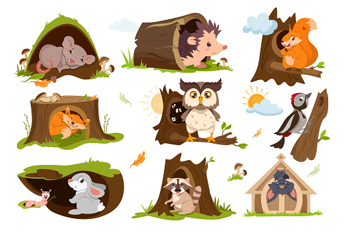 Set of forest animals sleep or hibernate in tree hole houses. Woodland burrows with cute fox, squirrel, owl, raccoon, hare and hedgehog. Woodpecker on a branch with hollow flat vector illustration.