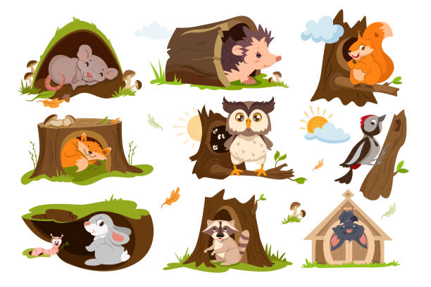 Forest animals sleep or hibernate in tree holes, hollows Set of forest animals sleep or hibernate in tree hole houses. Woodland burrows with cute fox, squirrel, owl, raccoon, hare and hedgehog. Woodpecker on a branch with hollow flat vector illustration. hibernation stock illustrations