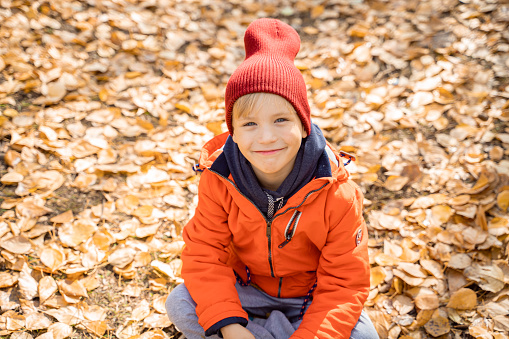 cute boy in bright clothes walks on a sunny day in the autumn forest