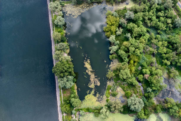 istock River banks and swamp area 1412434453