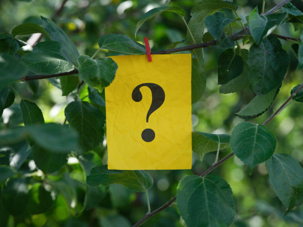 istock A yellow paper note with the question mark on it attached to a tree with a clothes pin 1412438728