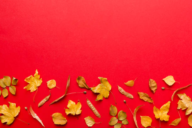 istock Autumn composition. Pattern made of dried leaves and other design accessories on table. Flat lay, top view 1412439638