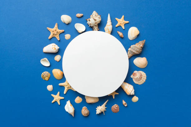 istock Summer time concept with blank greeting card and blank white paper on colored background. Seashells from ocean shore in the shape of frame separated with space for text top view 1412439765