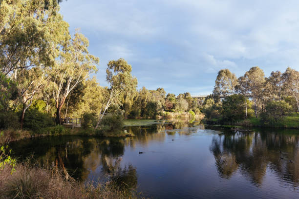 istock Westgate Park in Melbourne Australia 1412442862