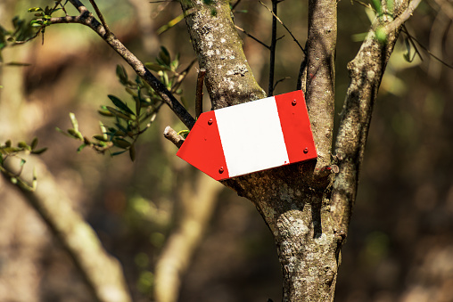 Close-up of a red and white directional trail sign with copy space hanging on an olive tree, footpath in Liguria, Cinque Terre, Italy, Europe.