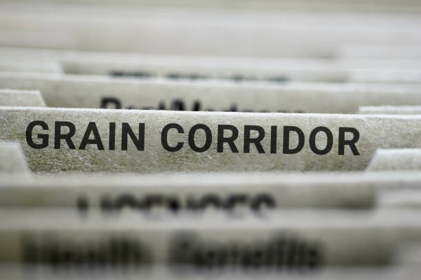 istock Grain corridor concept with a label on file organizer 1412446654