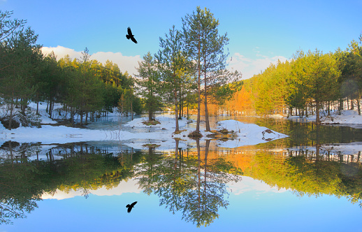 Bozcaarmut Pond panoramic view shot