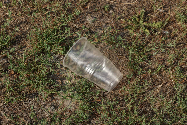 istock garbage from one large empty white plastic cup lies on the ground 1412453628