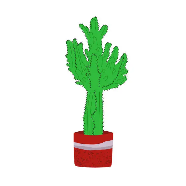 Vector illustration of lllustration with succulent