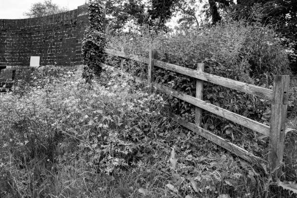 istock Wooden fence 1412455596