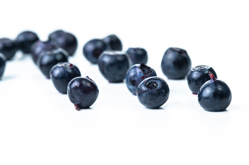 Variety of Fresh Forest Blueberries With Shallow Depth of Field Isolated on white Background. Horizontal Shot