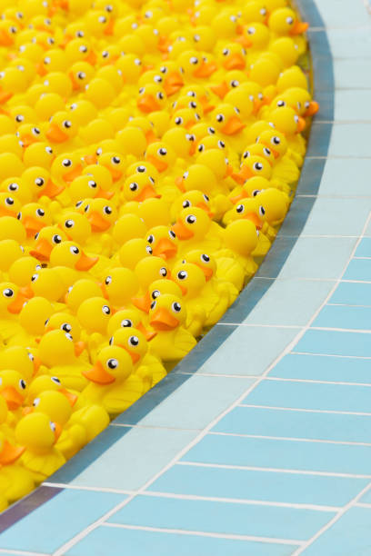 yellow toy duck floating in swimming pool