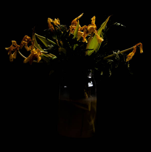 istock yellow tulips dry 1412462612