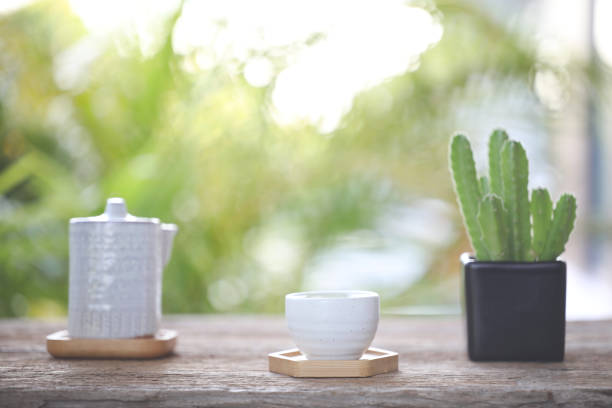 istock Ceramic tea pot and tea cup with cactus pot 1412466953