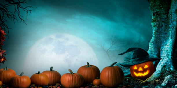 Row Of Pumpkins Next To An Illuminated Jack O'Lantern A row of pumpkins rest next to an illuminated jack o'lantern nestled into the trunk of an old spooky tree as a full moon rises in the distance on a foggy and misty Halloween night. halloween pumpkin jack o lantern horror stock pictures, royalty-free photos & images