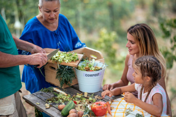 compostaggio familiare rifiuti di cucina all'aperto - divided plate foto e immagini stock