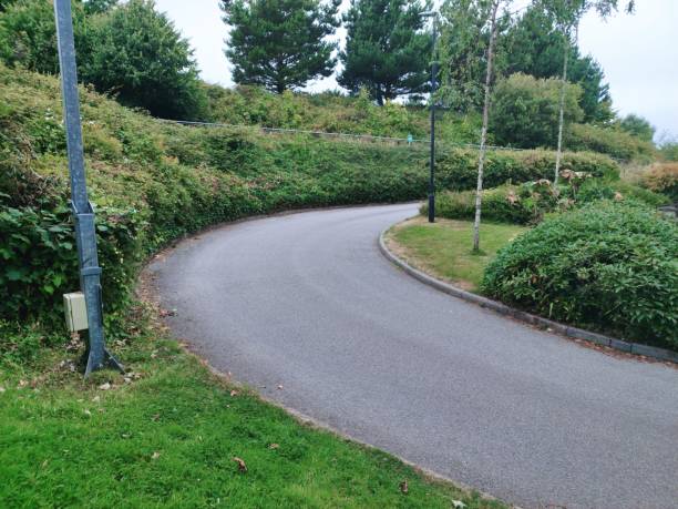 istock Winding road between lush green growth 1412471172