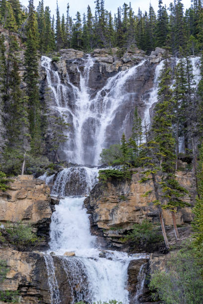 istock Tangle Creek Falls waterfall along the Icefields Parkway in Jasper National Park 1412480960