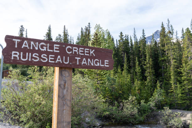 istock Tangle Creek falls waterfall sign along the Icefields Parkway - Jasper National Park 1412480961
