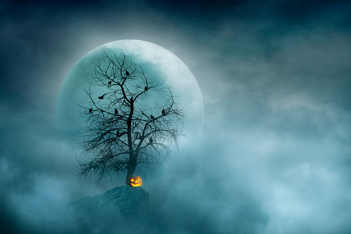 A flock of birds sit in a bare tree with a jack o'lantern nestled at the bottom while silhouetted against a large moon that rises in the fog and mist in the distance.