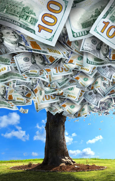one hundred dollar money tree on green landscape - wealth paper currency incentive money doesnt grow on trees imagens e fotografias de stock