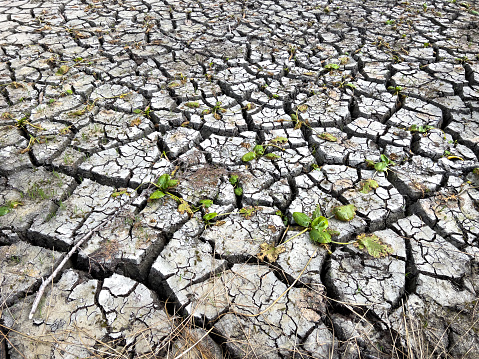 Dried up lake