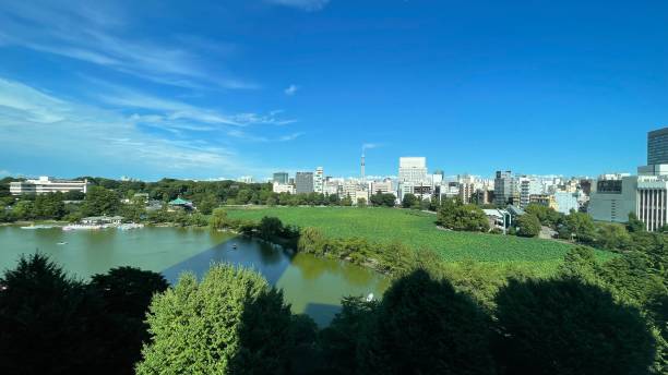 istock UENO SHINOBAZNOIKE 1412487206