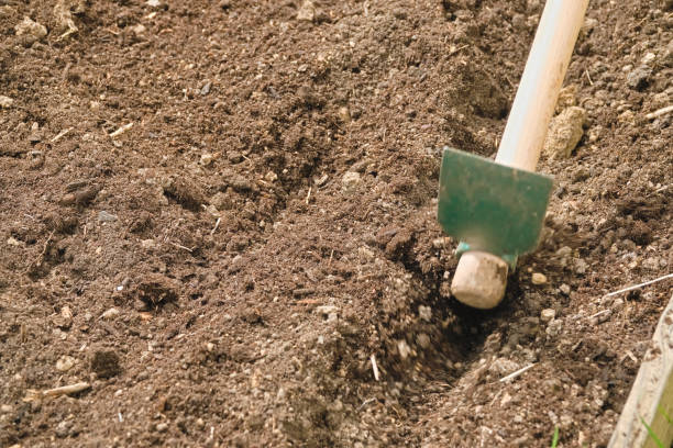 istock dig a straight line in the earth 1412493380