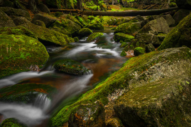 Jedlova creek in Jizerske mountains in spring cloudy morning