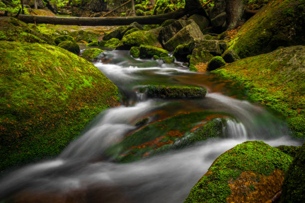 Jedlova creek in Jizerske mountains in spring cloudy morning